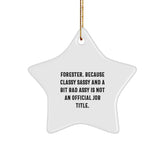 Funny Gifts for Forester, Classy Sassy Star Ornament, Christmas Unique Gifts from Friends or Family - Image 1